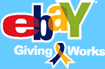 eBay Giving Works